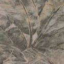 As Creation|Large tropical leaf wallpaper brown|Wallpaper