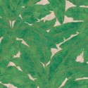 As Creation|Papier peint grandes feuilles tropicales vert et doré|Papier Peint