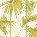 Papeldecor|Papel Pintado tropical plantas de bambú verde brillo|Papel Pintado