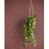 Eijffinger|Modern wallpaper with small shiny climbing flowers|Wallpaper