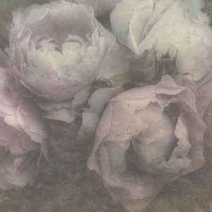 As Creation|Papier peint boutons de roses texture rouge|Papier Peint