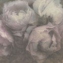As Creation|Papier peint boutons de roses texture rose pastel|Papier Peint
