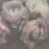 As Creation|Rosentapete mit Pastellrosa-Struktur|Tapeten