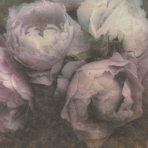 As Creation|Papier peint boutons de roses texture rouge|Papier Peint