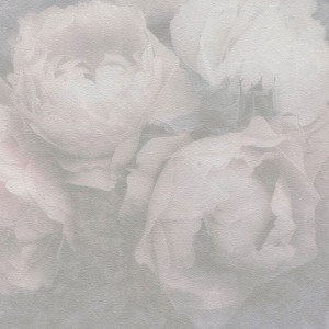 As Creation|Red rosebud wallpaper texture|Wallpaper