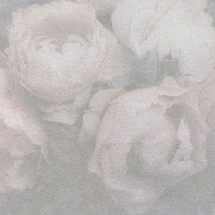 As Creation|Papel pintado capullos rosas textura blancas|Papel Pintado