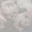 As Creation|White rosebud wallpaper texture|Wallpaper