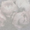 As Creation|Papier peint boutons de roses texture blanc|Papier Peint