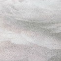 As Creation|White rosebud wallpaper texture|Wallpaper