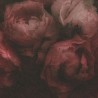 As Creation|Rosentapete mit roter Struktur|Tapeten