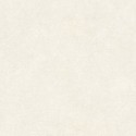 As Creation|Papier peint texture effet mur blanc brillant|Imitation Stuc