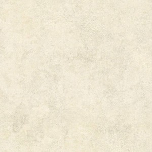 As Creation|Papier Peint flore et faune tropicales avec un fond noir|Papier Peint