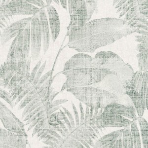 As Creation|Wallpaper parrots and tropical plants with beige background|Tropical