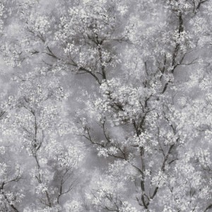 Borastapeter|Wallpaper contemporary floral oval leaves|Wallpaper