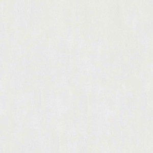 Rasch|Papier peint fleuri moderne discret blanc|Papier Peint