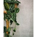 Eijffinger|Tapete Krokodilleder sandbeige|Lederimitat