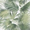 Khroma|Papel Pintado hojas verdes de palmera tropical con un sutil brillo|Papel Pintado