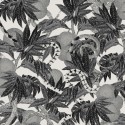 Khroma|Tropical Wallpaper with snakes in fruit trees black and white|Wallpaper