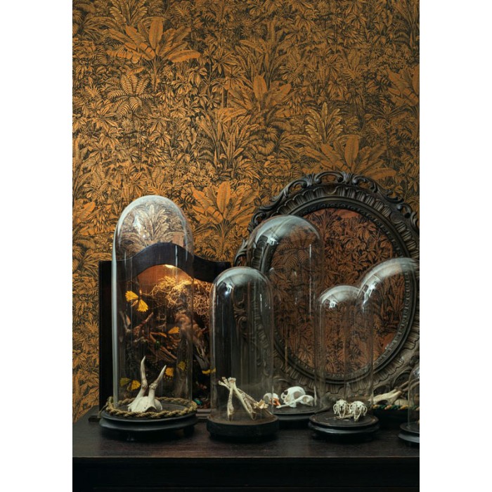 Khroma|Orange-brown tropical jungle Wallpaper|Wallpaper