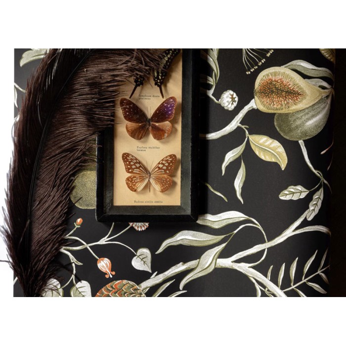 Papel Pintado negro con papayas tropicales - Khroma Cabinet Of Curiosities CAB605