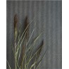 Eijffinger|Papier peint scandinave bleu foncé|Papier Peint