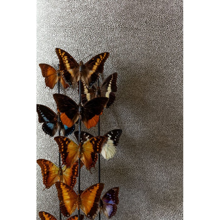 Papeldecor|Tapete in Iguanhautoptik graphitgrau|Lederimitat