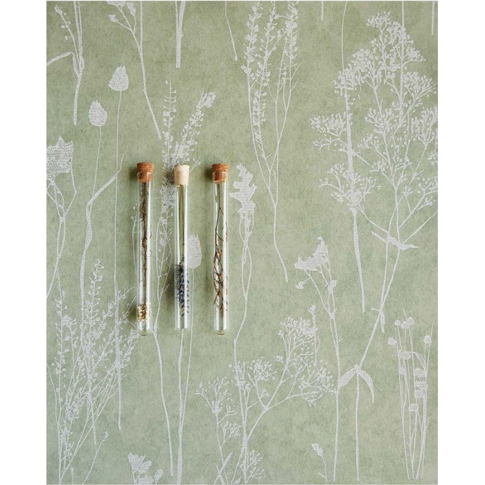 Papeldecor|Skandinavische Tapete mit Wildblumen in Grün|Tapeten