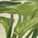 As Creation|Wallpaper large green leaves and climbing callas|Wallpaper