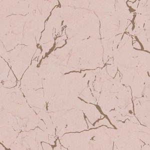Caselio|Papier peint gris effet mur texturé|Imitation Stuc
