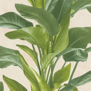 Marburg|Papier Peint tropical grandes feuilles vertes|Tropical