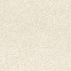 Rasch|Papier peint plâtre vert clair style moderne|Papier Peint