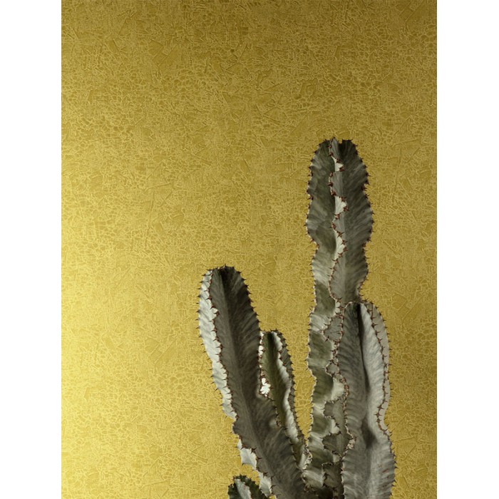 Khroma|Mustard yellow Wallpaper with cracked wall relief effect|Wallpaper