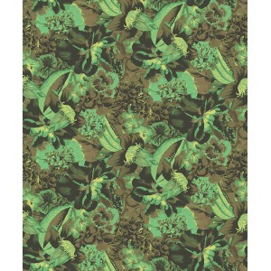 As Creation|Papier Peint perroquets et plantes tropicales avec fond beige|Tropical 2