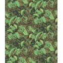 Papeldecor|Papier peint fleurs luxuriantes et fruits exotiques vert-brun|Papier Peint