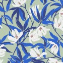 Papeldecor|Tapete Weiße und blaue Blumen auf Grün|Tapeten