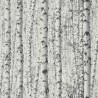 As Creation|Papier Peint forêt de bouleaux noir et blanc|Papier Peint