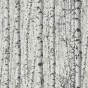 Papeldecor|Wallpaper white black birch forest|Wallpaper