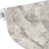 Rasch|Papier peint plâtre abstrait gris texture stuquée|Industriel