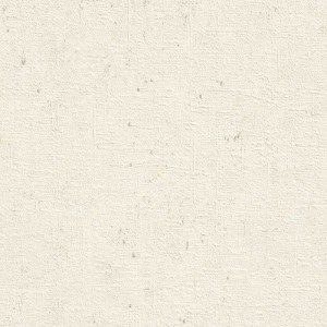 Rasch|Tapete Terracotta Beton Industriestil|Betonimitat
