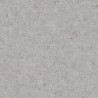 Papeldecor|Papier peint effet ciment gris pour espaces contemporains|Papier Peint