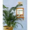 Eijffinger|Botanical wallpaper with light blue fern leaves|Wallpaper