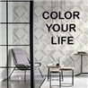 Rasch Color Your Life