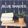 Caselio Blue Shades